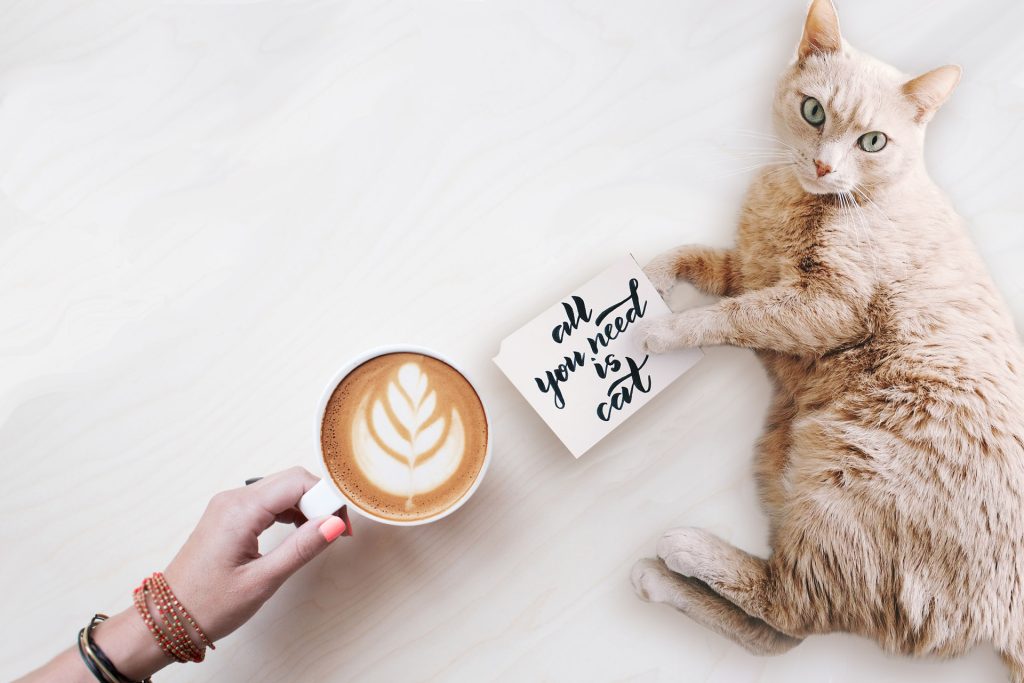 cafeheader.jpg