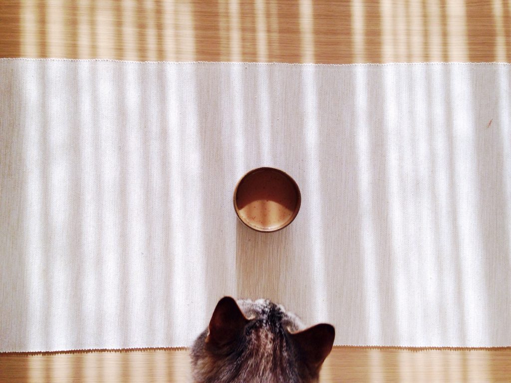 reshot-cat-coffee2.jpg